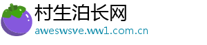 村生泊长网